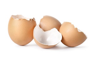 Užitočné rady, ako využiť vaječné škrupiny